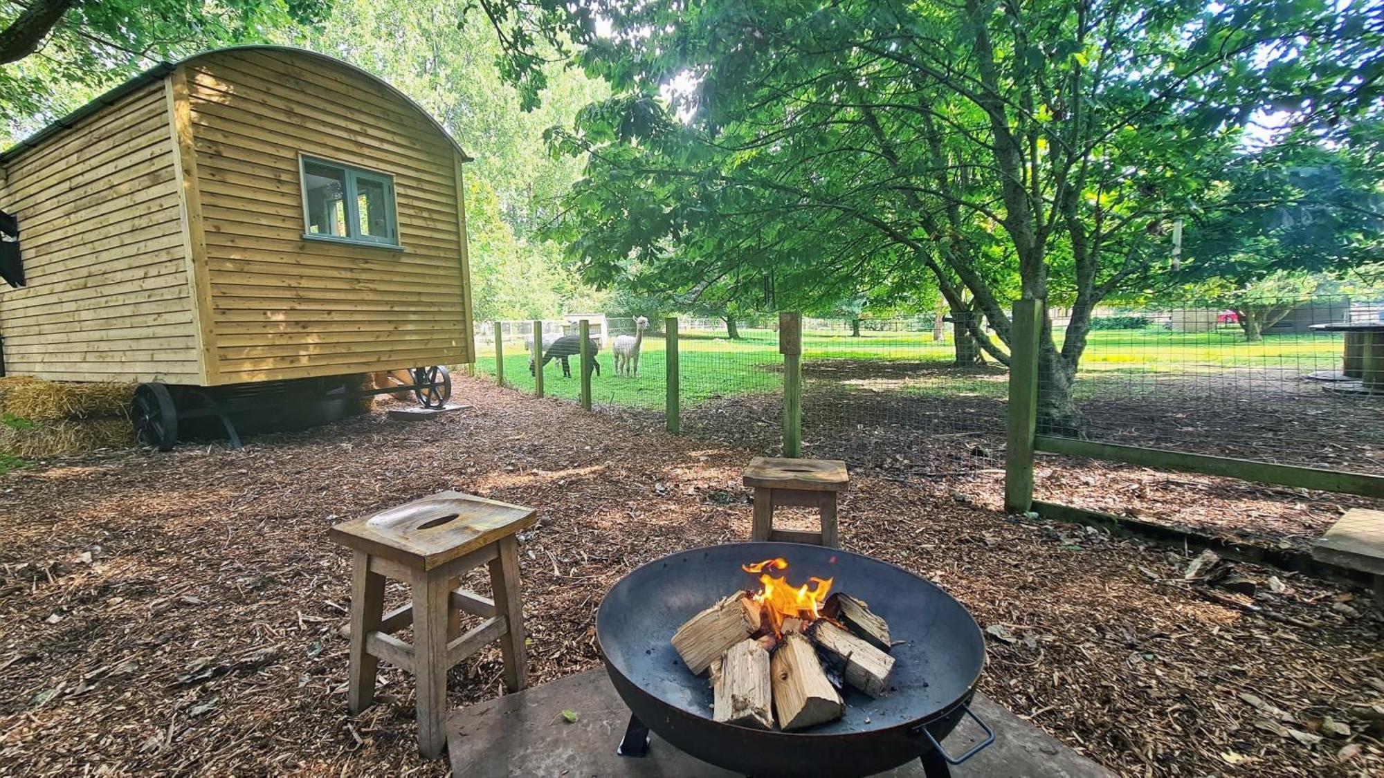 Отель Horsley Hale Farm Glamping Или Номер фото